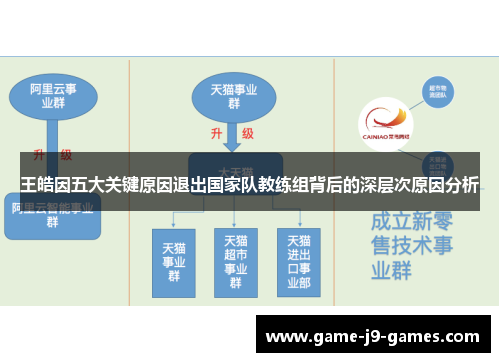 王皓因五大关键原因退出国家队教练组背后的深层次原因分析
